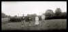  Panons Gelatin Silver Print