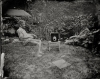 Untitled - Summer Plates  gelatin silver contact print from glass plate negative