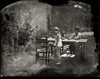  Untitled - Summer Plates  gelatin silver contact print from glass plate negative