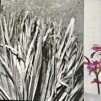 Broom with Pink Moments Redefined | Richard Crangle and Kristine Fisher Archival pigment print