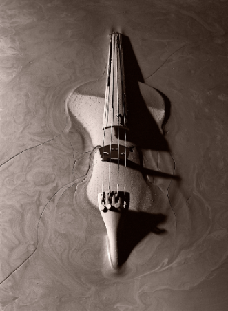 First Violin I First Violin | An Octave of Prints Archival Pigment Print on Hahnemuhle Museum Etching Paper