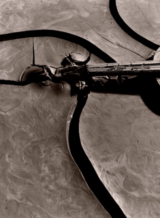 First Violin VII First Violin | An Octave of Prints Iris print on Hahnemule Rag paper