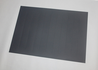 Janet Passehl Paper works Cut paper (Plyke Black)