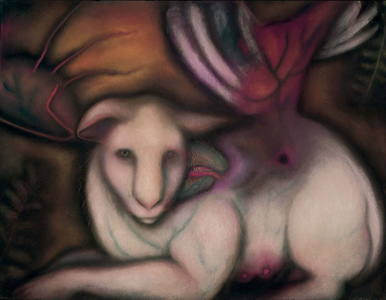 JAN HARRISON Recent Paintings: Pastel and ink on rag paper. 1993-2022 Animals in the Anthropocene and Mourning Dove Series  pastel and colorpencil on lavis fidelis paper