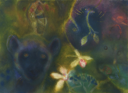 JAN HARRISON Recent Paintings: Pastel and ink on rag paper. 1993-2022 Animals in the Anthropocene and Mourning Dove Series  pastel, ink, and charcoal on rag paper