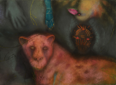 JAN HARRISON Paintings: Pastel and ink on rag paper. 1993-2024 Animals in the Anthropocene and Mourning Dove Series  pastel, ink, colorpencil, and charcoal on rag paper