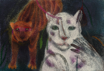 JAN HARRISON Paintings: Pastel and ink on rag paper. 1993-2023 Animals in the Anthropocene and Mourning Dove Series  pastel, ink, and charcoal on rag paper