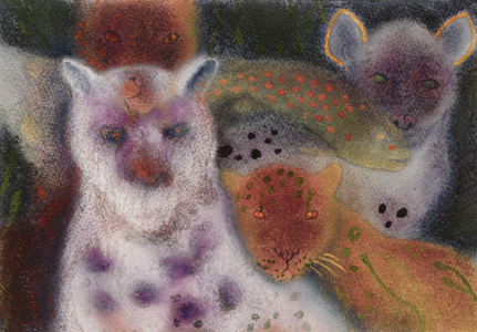 JAN HARRISON Recent Paintings: Pastel and ink on rag paper. 1993-2022 Animals in the Anthropocene and Mourning Dove Series  pastel, ink, and charcoal on rag paper
