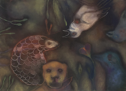 JAN HARRISON Recent Paintings: Pastel and ink on rag paper. 1993-2022 Animals in the Anthropocene and Mourning Dove Series  pastel, ink, colorpencil, and charcoal on rag paper