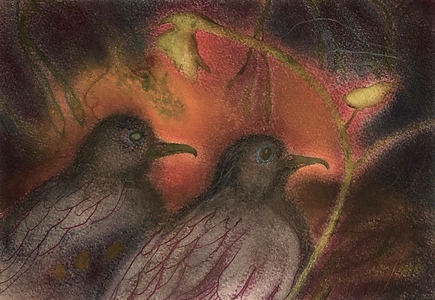 JAN HARRISON Paintings: Pastel and ink on rag paper. 1993-2023 Animals in the Anthropocene and Mourning Dove Series  pastel and ink on rag paper