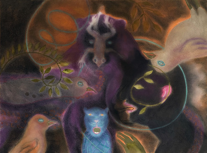 JAN HARRISON Paintings: Pastel and ink on rag paper. 1993-2023 Animals in the Anthropocene and Mourning Dove Series  pastel and ink on rag paper
