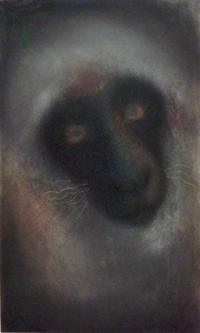 JAN HARRISON The Corridor Series - Primates/Birds 2009-2011 Charcoal, pastel and ink on rag paper