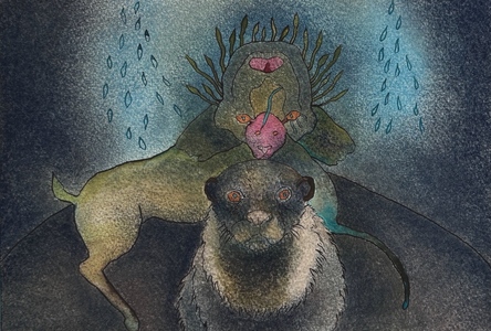 JAN HARRISON Paintings: Pastel and ink on rag paper. 1993-2025 Animals in the Anthropocene and Smaller Work pastel and ink on rag paper