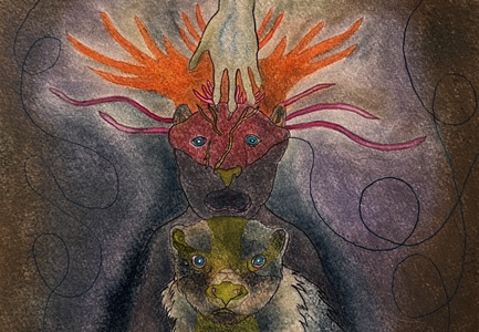 JAN HARRISON Paintings: Pastel and ink on rag paper. 1993-2025 Animals in the Anthropocene and Smaller Work pastel and ink on rag paper