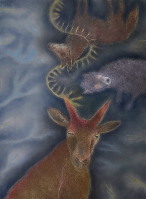JAN HARRISON Paintings: Pastel and ink on rag paper. 1993-2025 Animals in the Anthropocene and Smaller Work pastel and ink on rag paper
