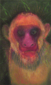 JAN HARRISON The Corridor Series - Primates/Birds 2009-2011 pastel, charcoal and ink on rag paper