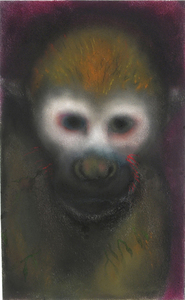 JAN HARRISON The Corridor Series - Primates/Birds 2009-2011 Charcoal, pastel and ink on rag paper
