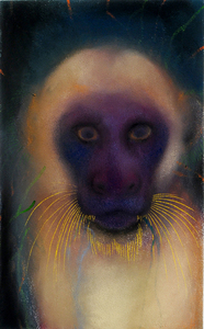 JAN HARRISON The Corridor Series - Primates/Birds 2009-2011 Pastel, charcoal and ink on rag paper