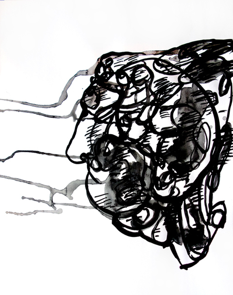 JANICE SLOANE Head Face  Drawings 2016-17            2016 india ink on acid free paper