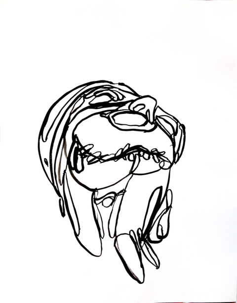 JANICE SLOANE Head Face  Drawings 2016-17            2016 