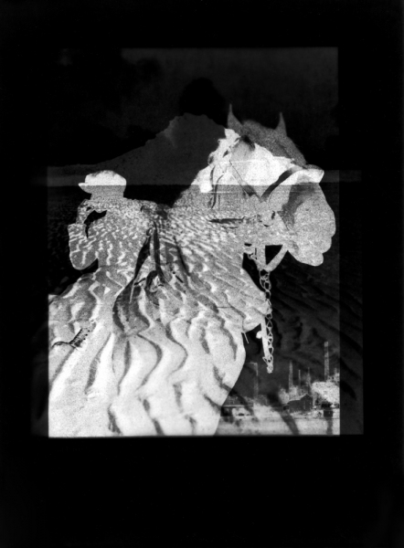 JASON KALOGIROS 2009 unique gelatin-silver photogram