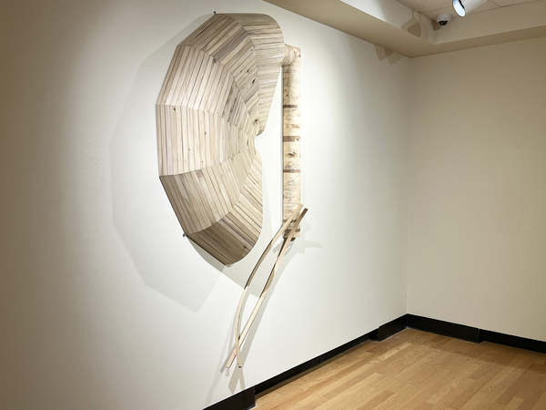 jason tanner young     State Fellowship Application various wood types (walnut, poplar, oak, maple, spruce, plywood), and various hardware