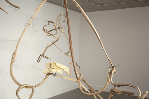 shim, whim, swim (detail)