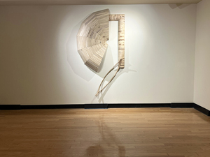 f i n d e r. Solo Exhibition at Pittsburg State University