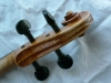 Carousel artwork image 380