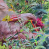  Paintings Oil on panel
