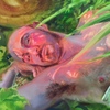  Paintings Oil on panel