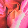  Paintings Oil on panel