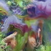  Paintings Oil on panel