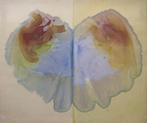 Jeanne Wilkinson 5. Symmetry Paintings (2000) Acrylic on muslin