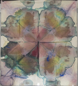 Jeanne Wilkinson 5. Symmetry Paintings (2000) Acrylic on cotton fabric