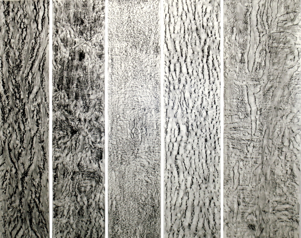 Jeannine Bardo 2010-2012 graphite, sumi ink