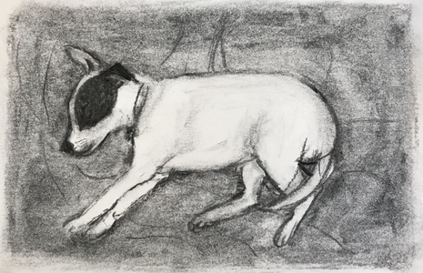  The dogs charcoal