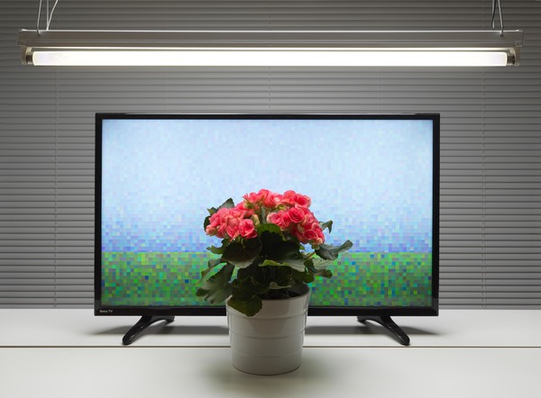 Fluorescent Still Life with TV, Red Begonia
