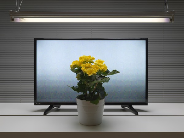 Fluorescent Still Life with TV, Yellow Begonia