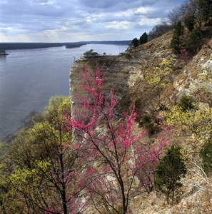 Jeffrey Vaughn Alton Bluffs Photograph