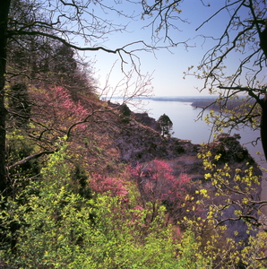 Jeffrey Vaughn Alton Bluffs Photograph