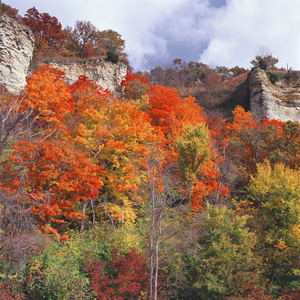 Jeffrey Vaughn Alton Bluffs Photograph