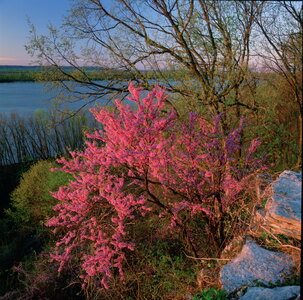 Jeffrey Vaughn Alton Bluffs Photograph