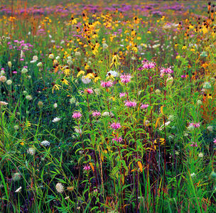 Jeffrey Vaughn Landscape Photograph