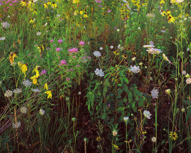 Jeffrey Vaughn Landscape Photograph