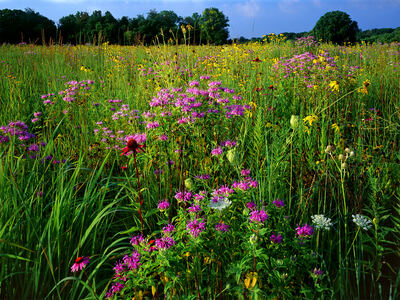 Jeffrey Vaughn Landscape Photograph