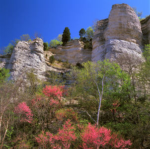 Jeffrey Vaughn Alton Bluffs Photograph