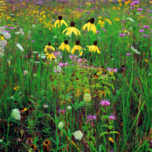 Jeffrey Vaughn Landscape Photograph