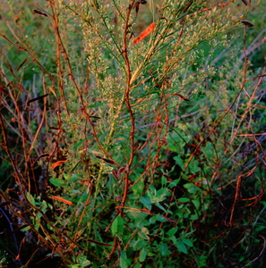 Jeffrey Vaughn Landscape Photograph