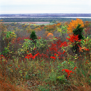 Jeffrey Vaughn Landscape Photograph